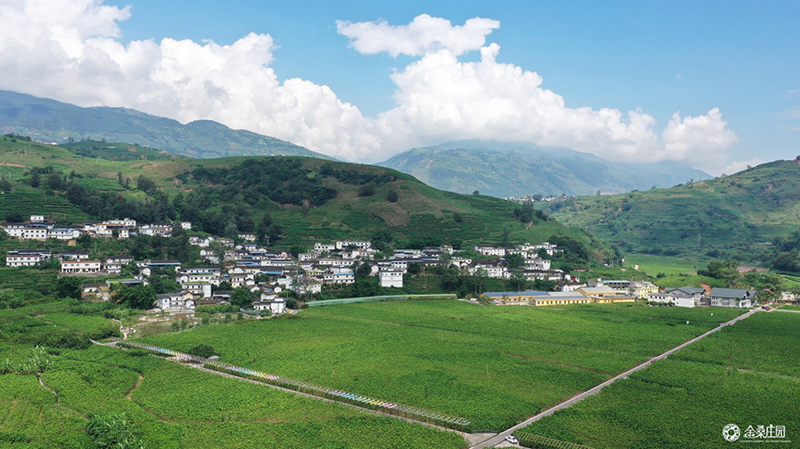 寧南縣金桑莊園景區(qū)成功獲評為國家3A級旅游景區(qū)